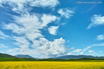 青海湖畔风景