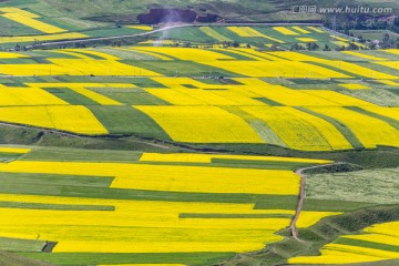 祁连县丹霞地貌公园油菜花海