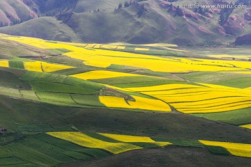 祁连县丹霞地貌公园油菜花海