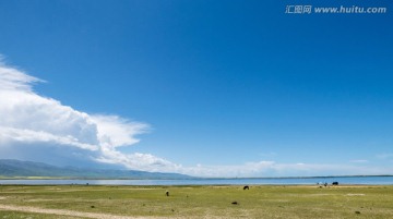 青海湖畔风景