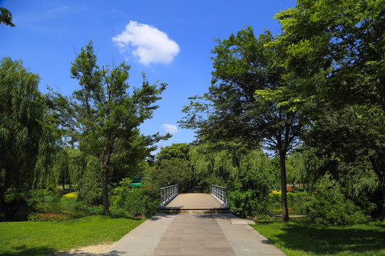 公園綠地