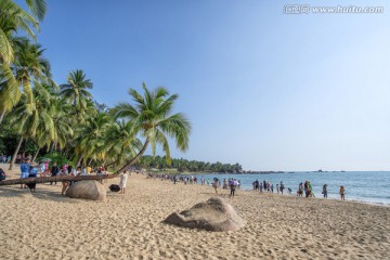 海角天涯 歪椰树