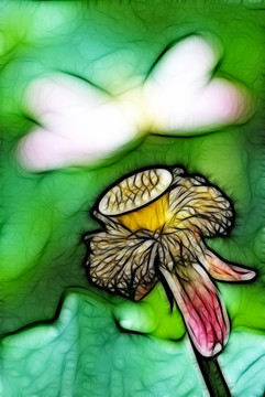 荷花抽象畫