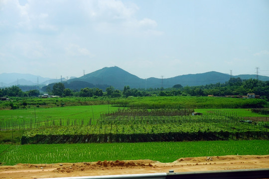 田野风光