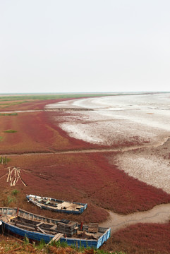 红海滩