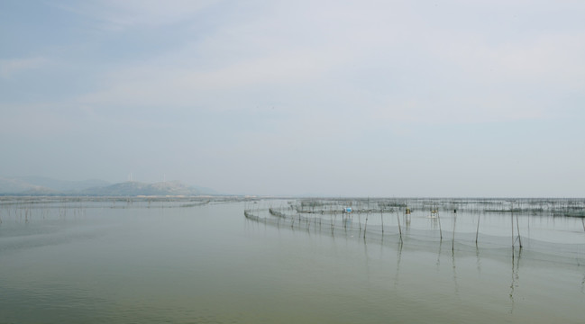 东平湖风光