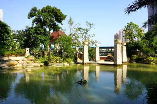 园林湖泊风景