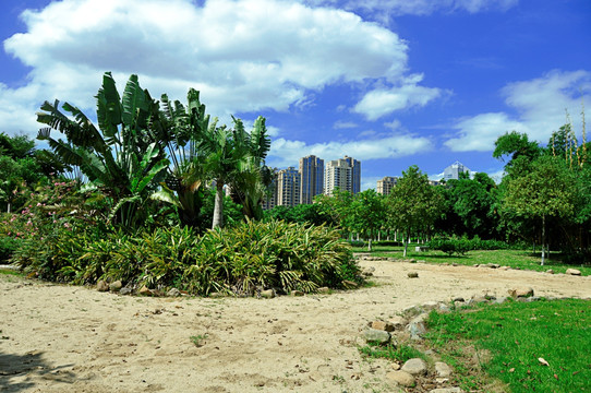 公园沙漠景观局部风景