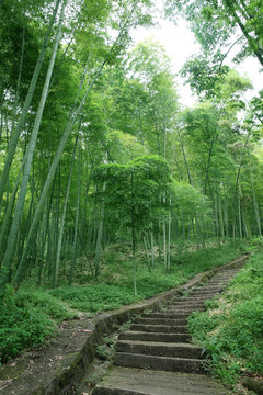 登山便道