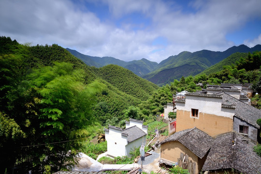 木坑竹海