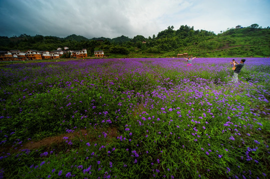 荔波漳江花谷