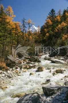 四川稻城亚丁的风景