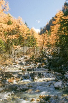 四川稻城亚丁的风景