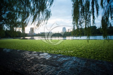 城市晚景 华家池