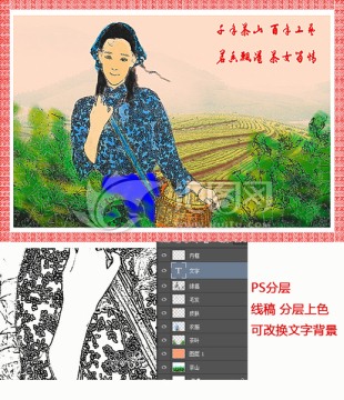 茶葉包裝素材畫冊采茶女