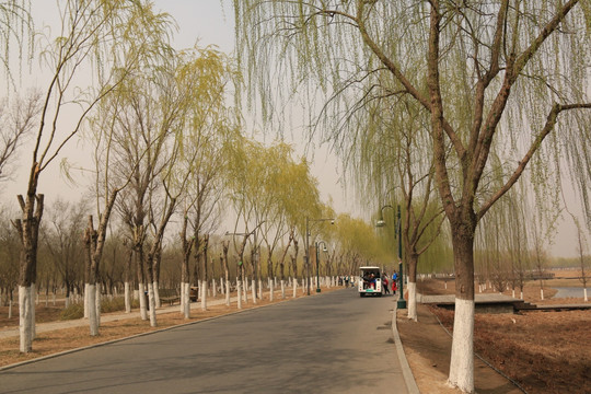 公園寬闊道路