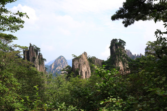 黄山奇峰