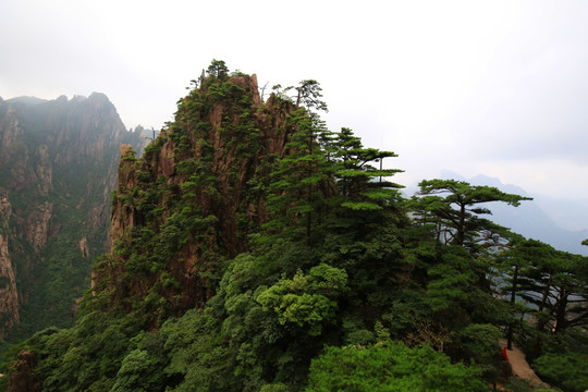 黄山小景