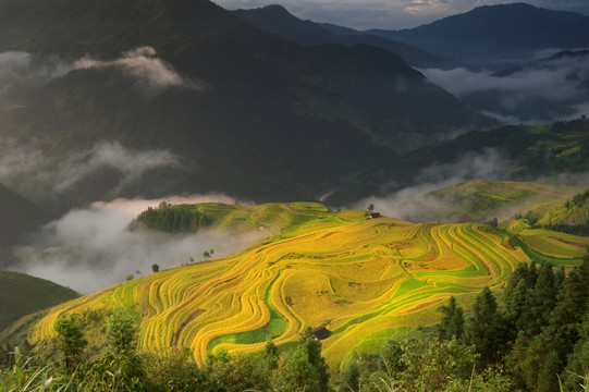 加鸠乡梯田