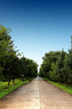 农场 公路 风景