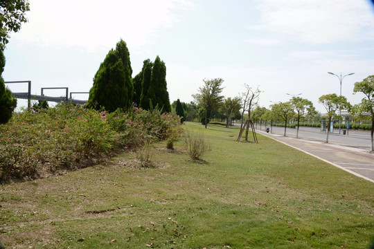 滴水湖建设