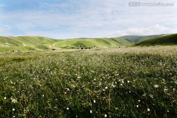 草原风光