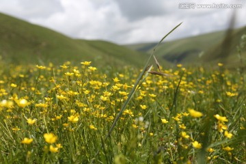 草原风光