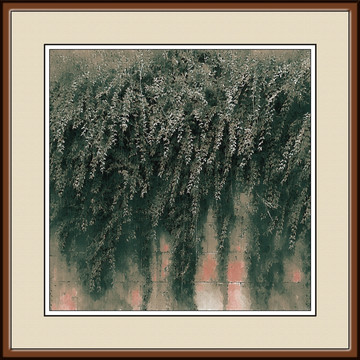 裝飾畫 綠植