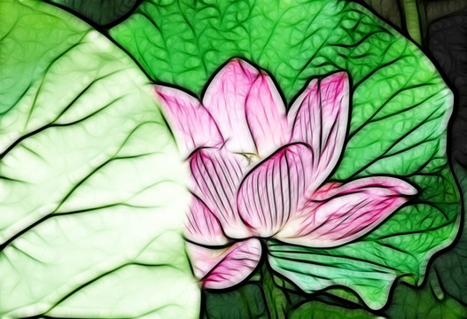 荷花抽象畫