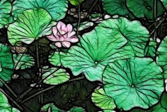 荷花抽象畫(huà)