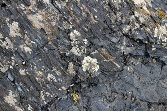 五大连池 火山岩