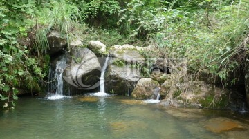 山泉 小溪水