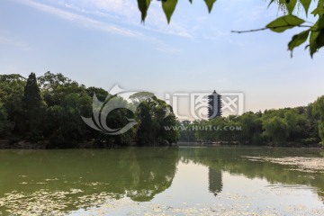 北京大学校园风光未名湖博雅塔