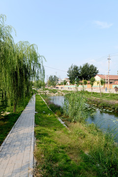 城市绿地 园林景观