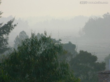 自然景色 森林早晨