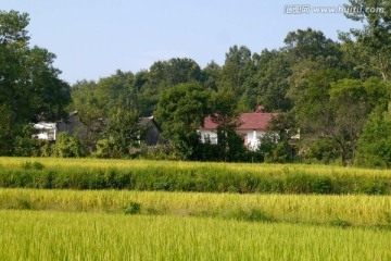 秋天田野