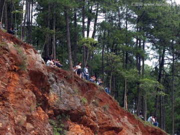 树林山坡人群