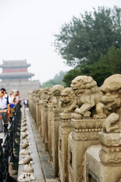 卢沟桥 石狮子 北京 文物