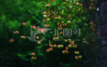 苹果树油画
