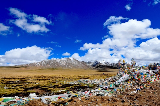 西藏旅游 西藏符号 经幡 蓝天