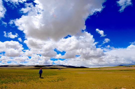 西藏风光 高原草原 蓝天白云