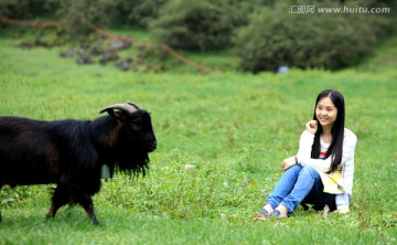 草原风景 山羊和美女