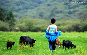 草原羊群和儿童