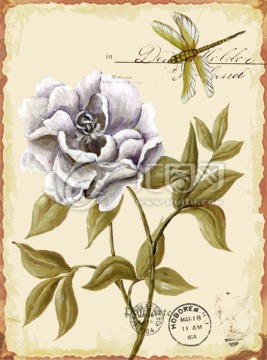 歐美復(fù)古蜻蜓英文無(wú)框畫裝飾畫