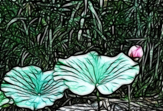 荷花抽象畫