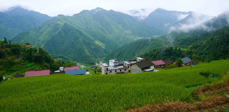 浙江衢州台回山