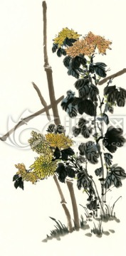 国画菊花 装饰画