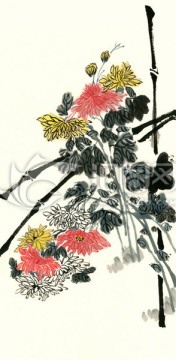 国画菊花 装饰画