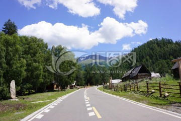 森林高山蓝天公路