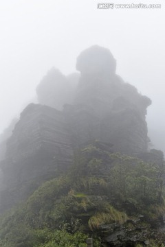 梵净山 蘑菇石